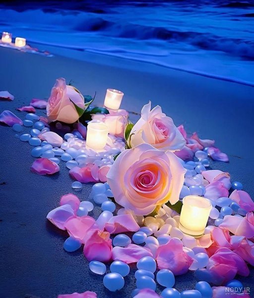  عکس دسته گل رز قرمز عاشقانه