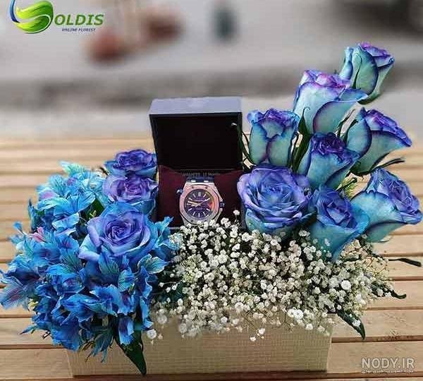 عکس گل رز قرمز مخملی