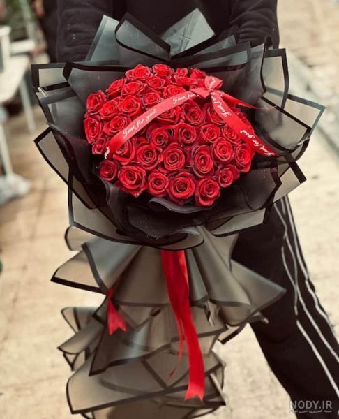 عکس گل رز قرمز مخملی