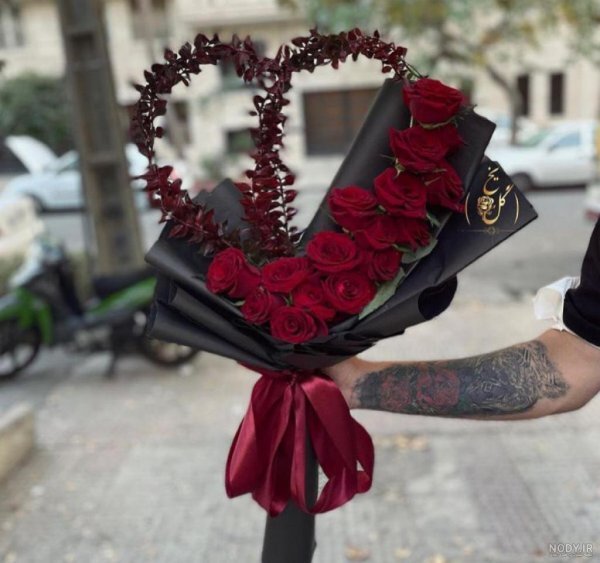 عکس گل رز قرمز مخملی