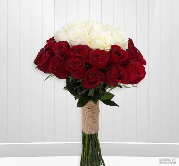 عکس گل رز قرمز مخملی