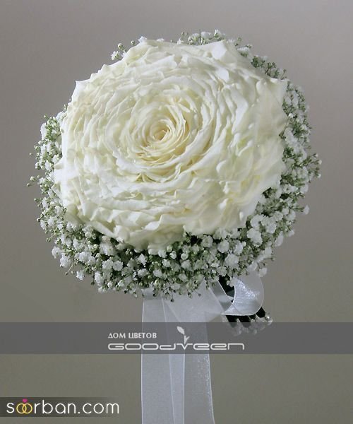  عکس دسته گل رز قرمز عروس