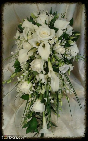  عکس دسته گل رز قرمز عروس