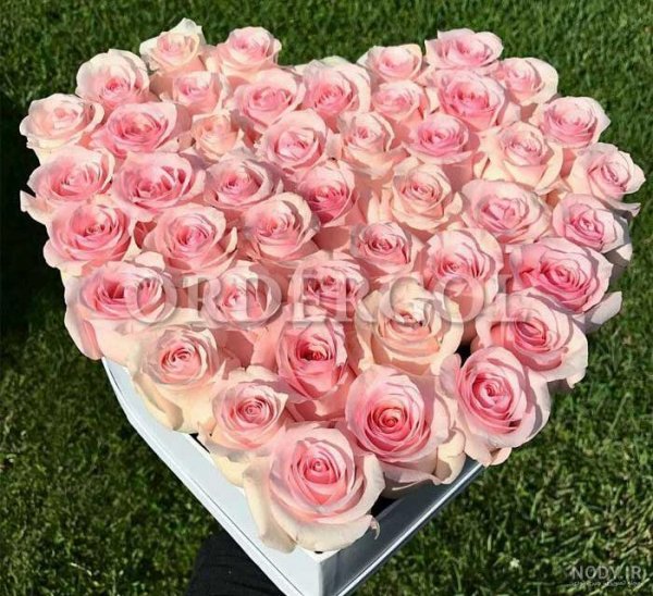  عکس گل طبیعی برای سالگرد ازدواج