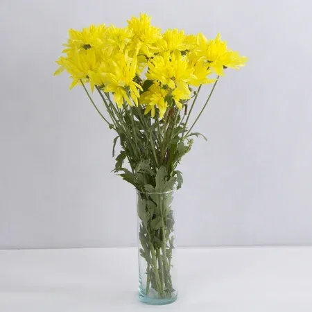 عکس گل طبیعی برای سالگرد ازدواج