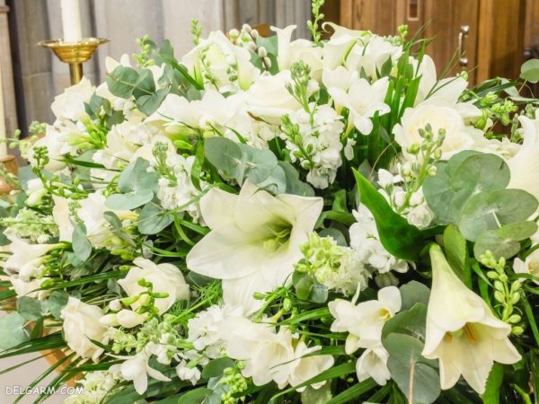  عکس گل لیلیوم برای تصویر زمینه