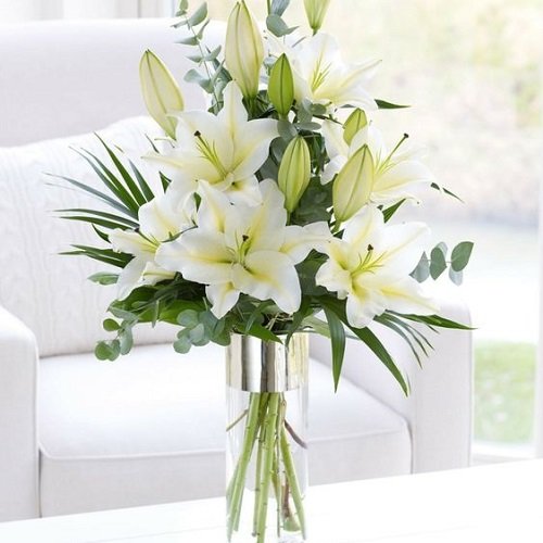  عکس گل لیلیوم پینترستی