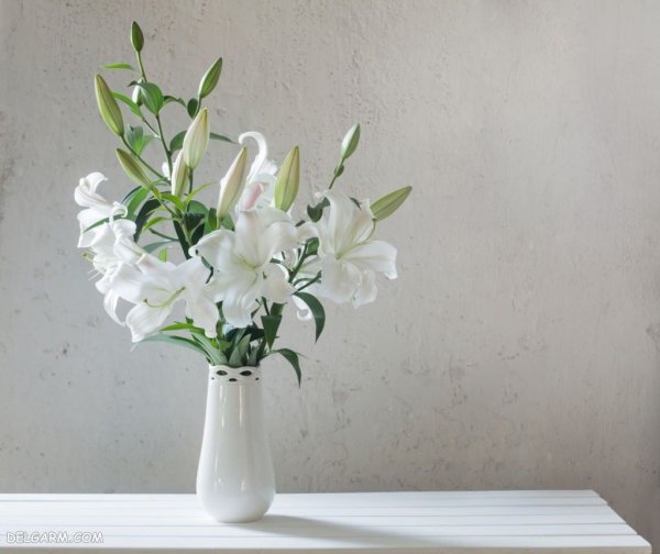  عکس گل اورینتال برای والپیپر گوشی