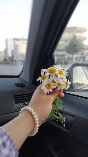  عکس گل برای پروفایل با کیفیت بالا