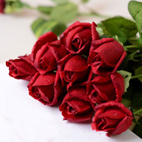 والپیپر گل رز قرمز برای گوشی