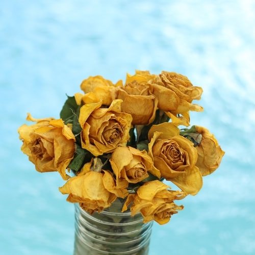  عکس دسته گل های زیبا زرد رنگ برای پروفایل