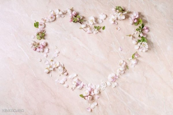  تصویر زمینه زیبا دسته گل طبیعی برای لپتاپ