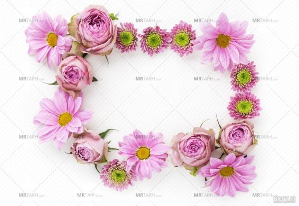  پس زمینه گل برای نوشتن متن