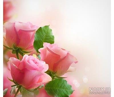  پس زمینه گل برای نوشتن متن
