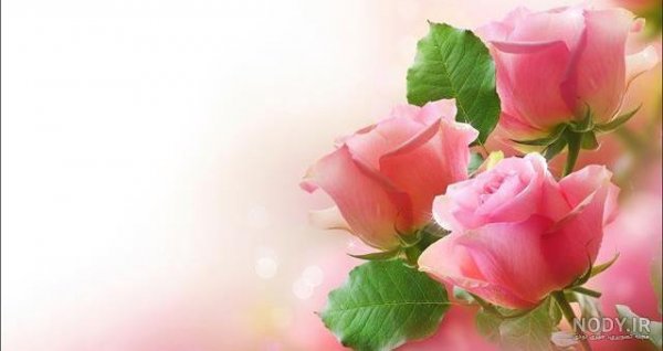  پس زمینه گل برای نوشتن متن