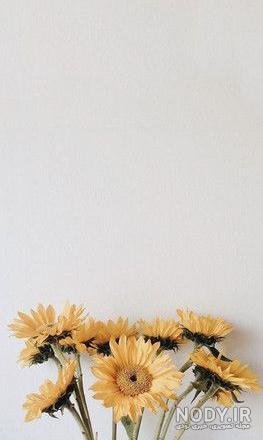  پس زمینه گل برای نوشتن متن