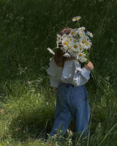  عکس گل برای پس زمینه گوشی