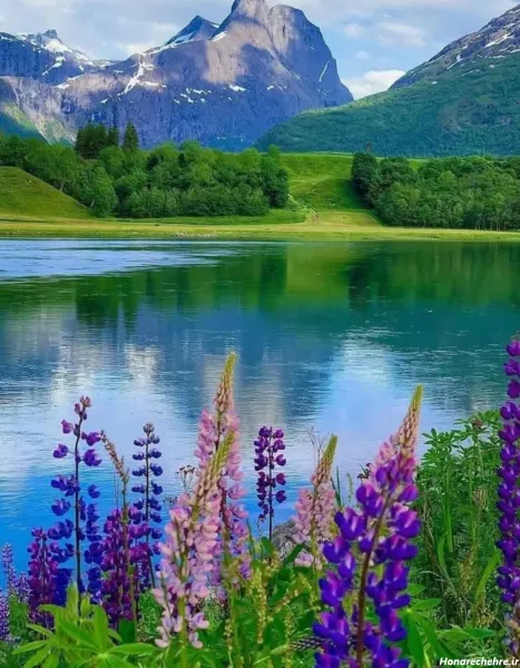 عکس پس زمینه ساده و زیبا