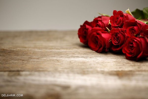  بک گراند گل های زیبا و رنگارنگ با کیفیت HD