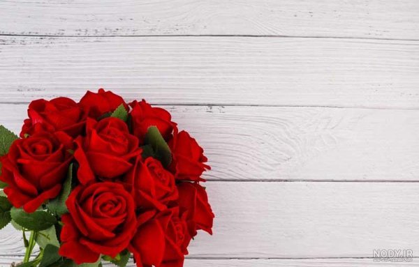  بک گراند گل قرمز با کیفیت بالا