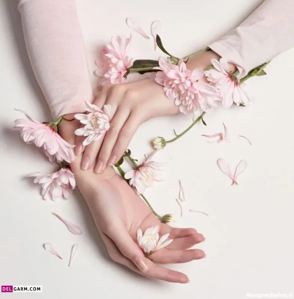  عکس دسته گل صورتی برای پروفایل دخترونه