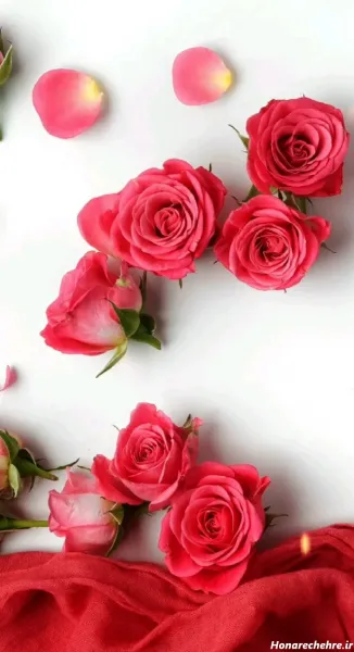  عکس دسته گل صورتی برای پروفایل دخترونه