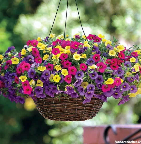 عکس گل های بهاری زیبا برای تصویر زمینه شاد