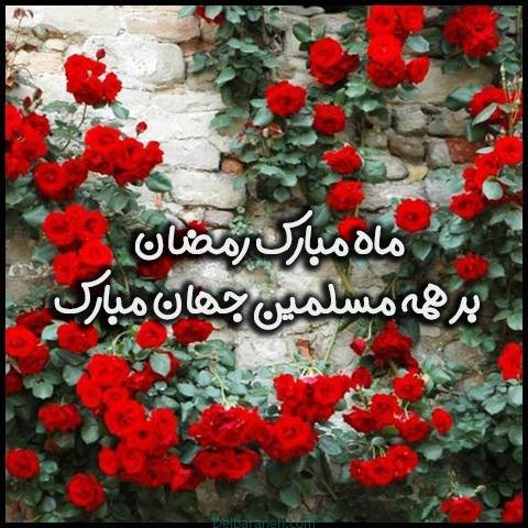 دانلود عکس پروفایل ماه رمضان