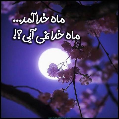  دانلود عکس پروفایل ماه رمضان