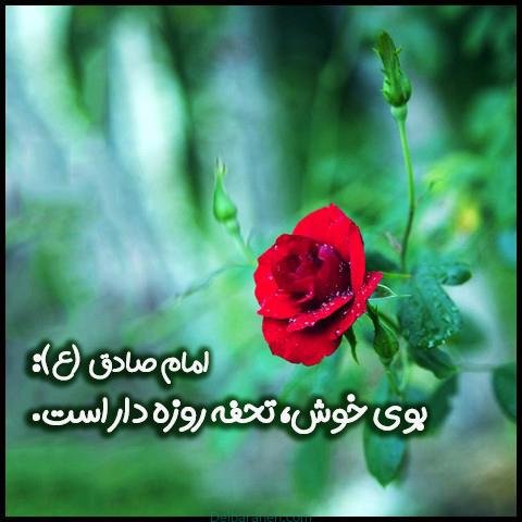  عکس رمضان کریم