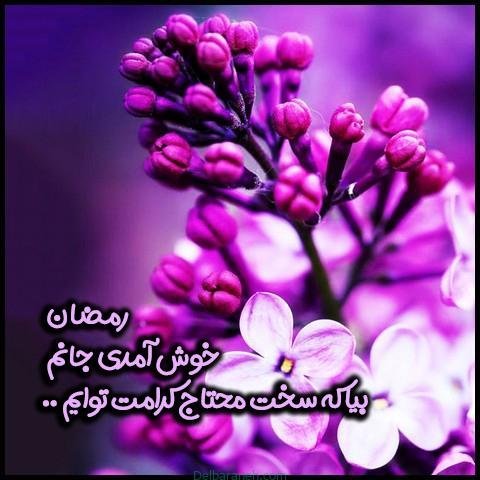  عکس ماه رمضان برای استوری