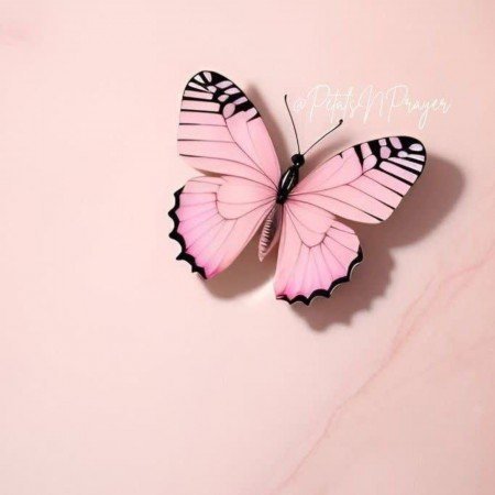  بک گراند پروانه صورتی برای گوشی