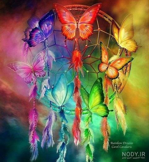 عکس پروانه برای صفحه گوشی