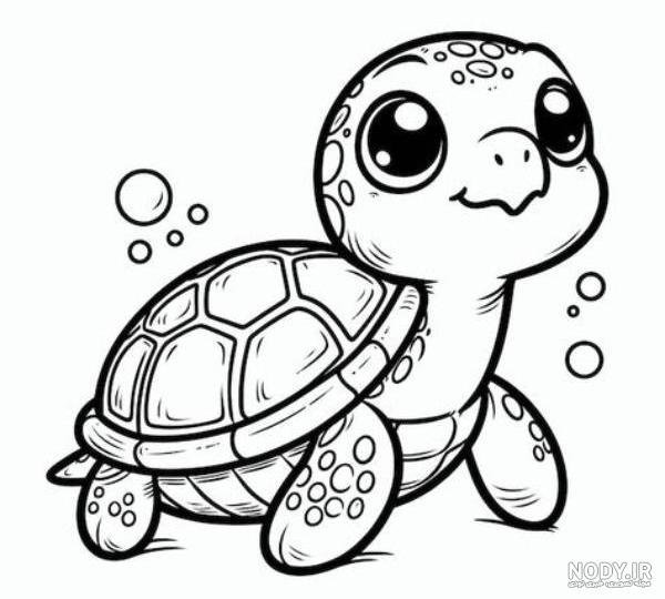  عکس لاک پشت نقاشی