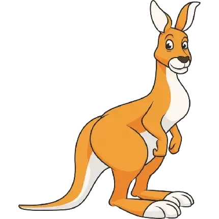  عکس کانگورو کارتونی