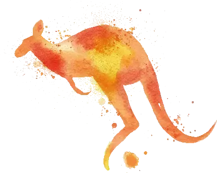  عکس کانگورو کارتونی