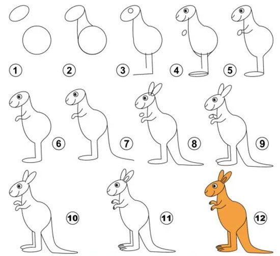  عکس کانگورو برای نقاشی