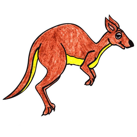  عکس کانگورو برای نقاشی