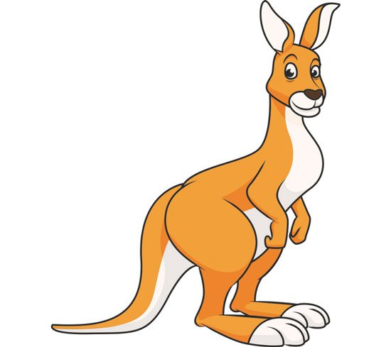  عکس کانگورو برای نقاشی