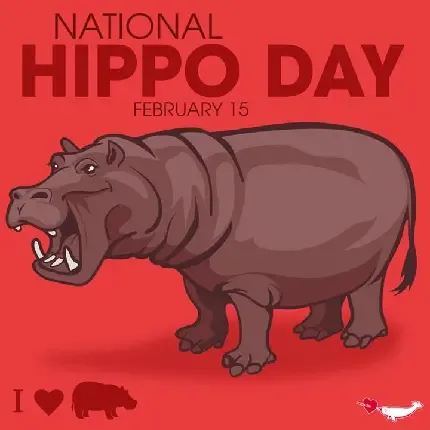  عکس اسب آبی زیبا