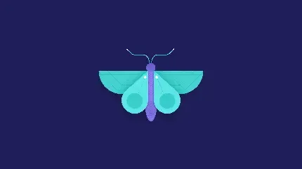  تصویر زیبای از پروانه ها