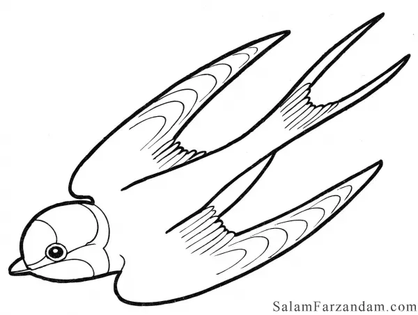  عکس پرستو برای نقاشی