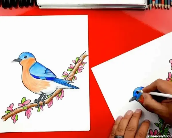  عکس پرستو برای نقاشی