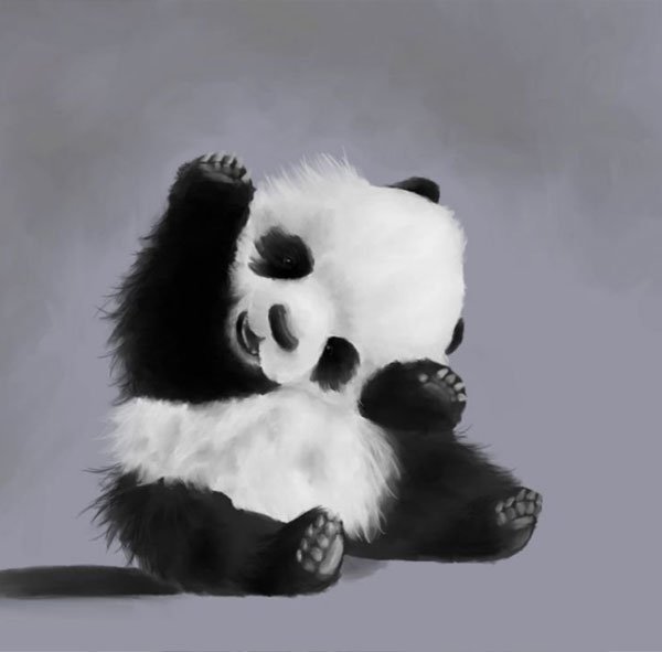 عکس پاندا کیوت فانتزی