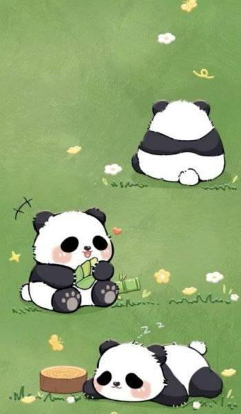  عکس پاندا فانتزی کارتونی
