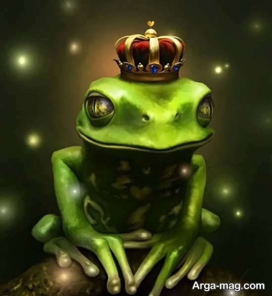  عکس قورباغه کیوت واقعی