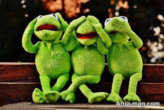  عکس قورباغه کیوت واقعی