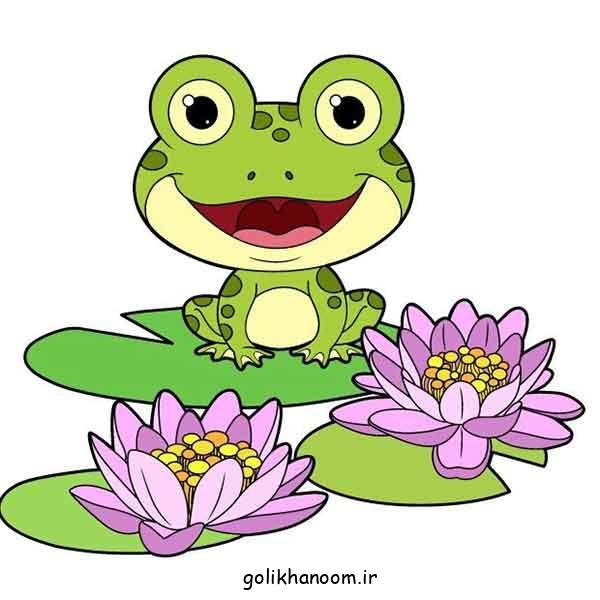 عکس قورباغه فانتزی