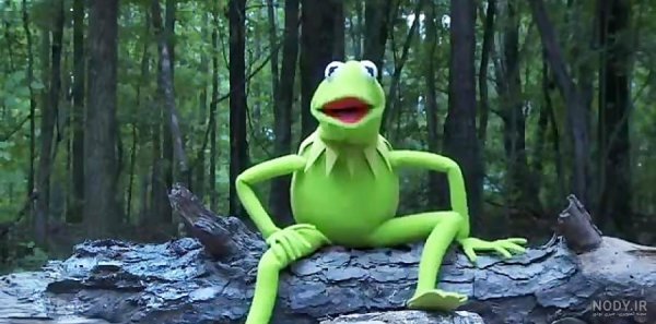 عکس قورباغه کارتونی