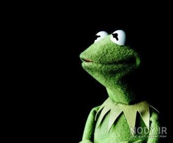 عکس قورباغه کارتونی
